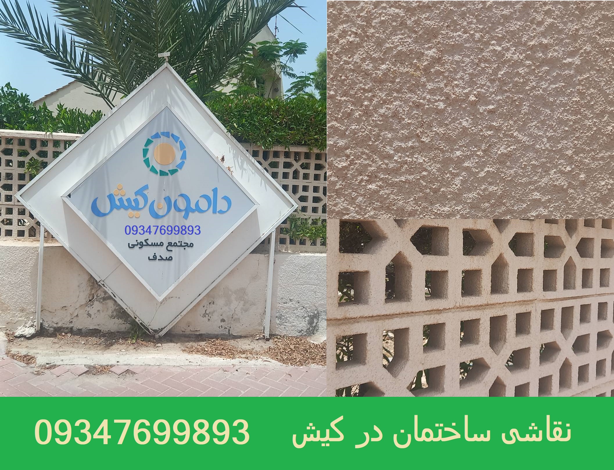 نقاشی دامون کیش